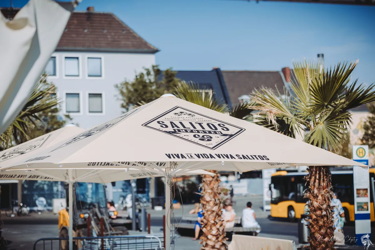 Sonnenschirm und Palmen am StadtStrand Düren